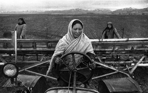 Young Soviet girl tractor-drivers of Kirghizia, efficiently replacing their friends, brothers and fathers who went to the front. A girl tractor driver of the sowing sugar beet, on Aug. 26, 1942. (AP Photo)