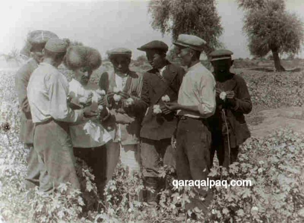 Officials inspecting the Qaraqalpaq cotton crop